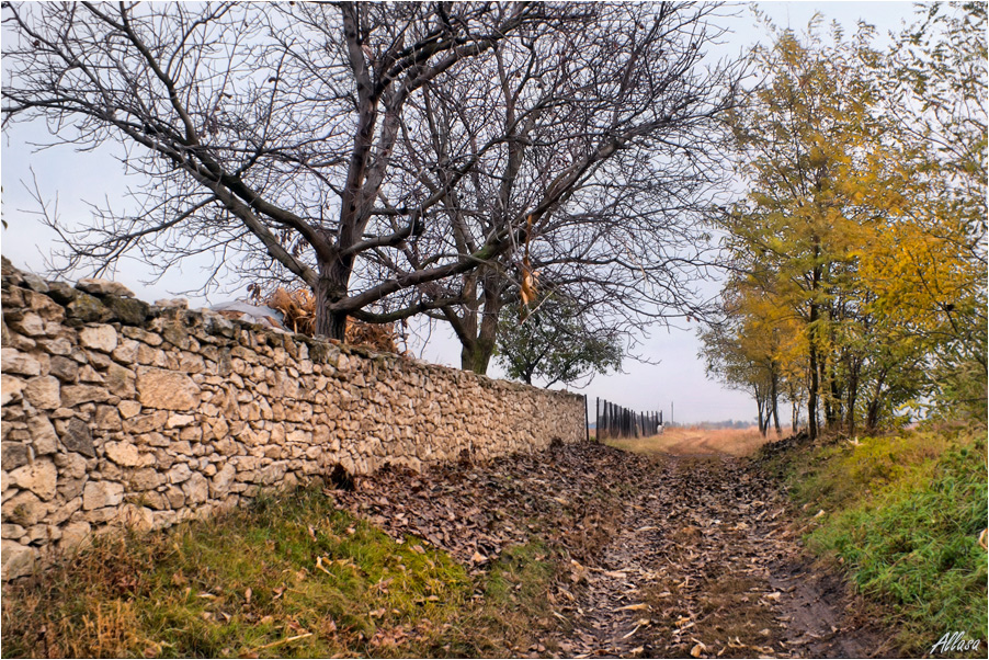 photo "***" tags: landscape, autumn