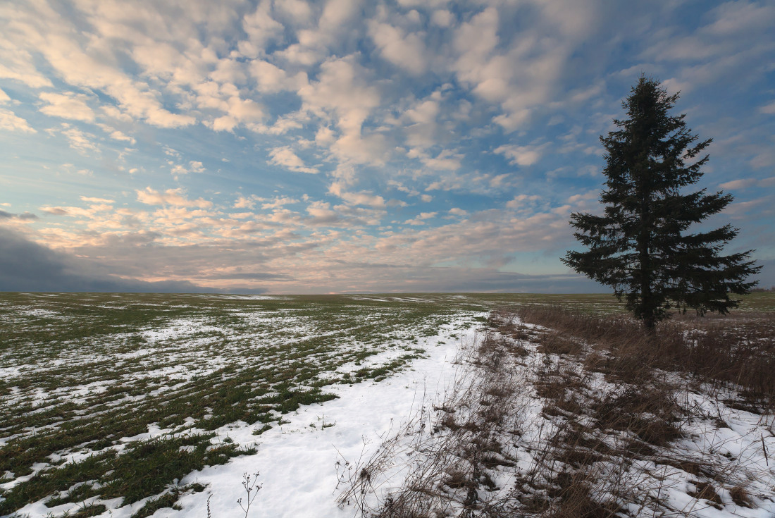 photo "***" tags: landscape, 