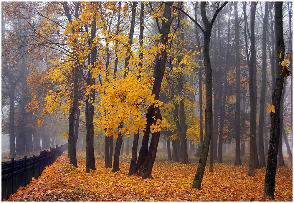 фото "Туманы  осени" метки: пейзаж, осень