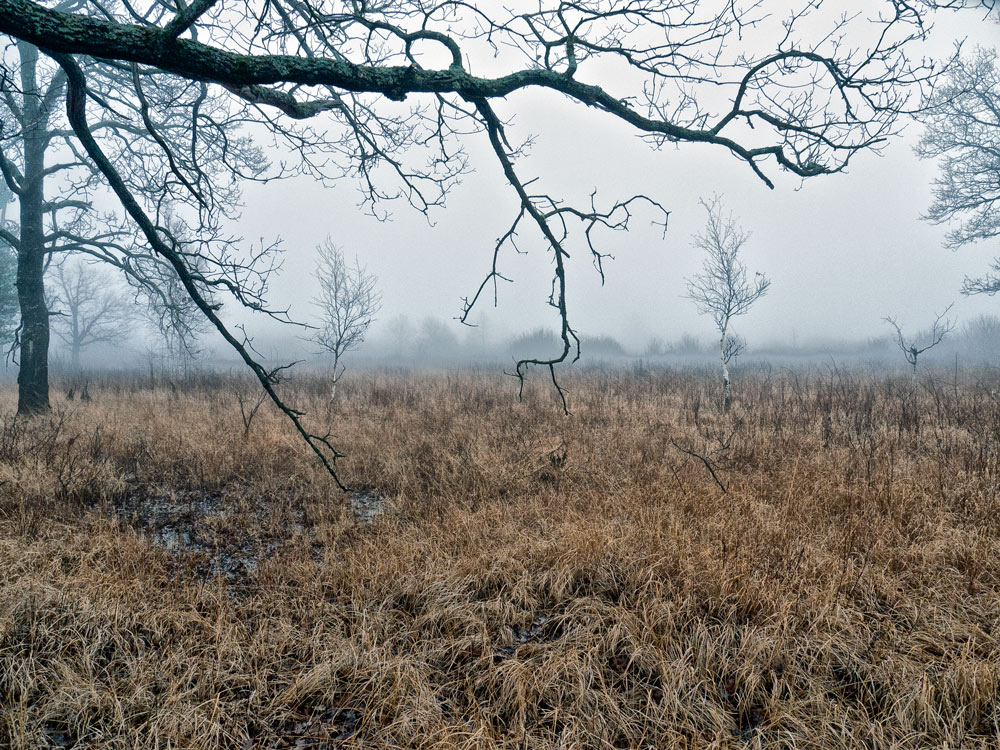 photo "***" tags: landscape, autumn, forest