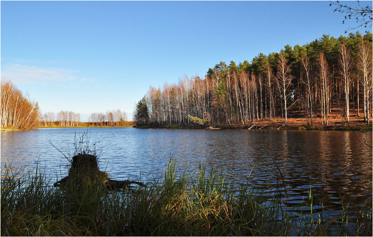 фото "Лесное озеро" метки: пейзаж, вода, осень