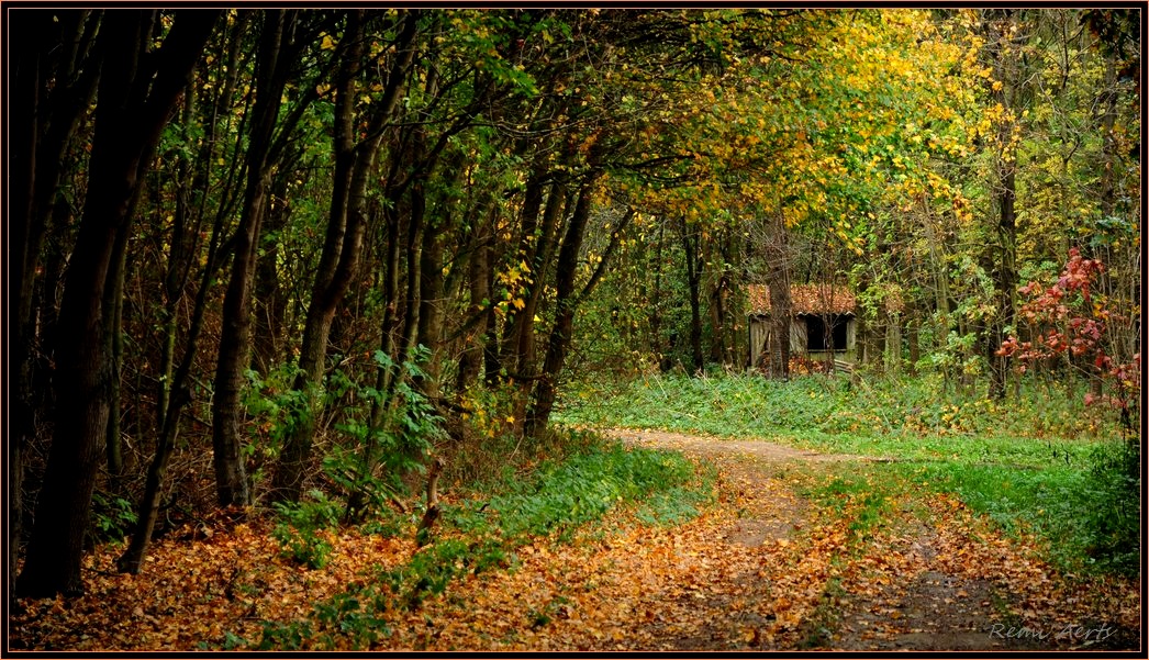 photo "fairy house" tags: landscape, architecture, autumn