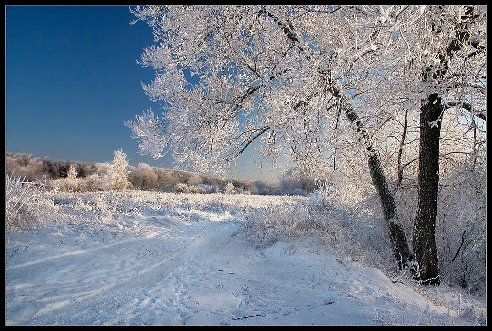 фото "Зимний сон" метки: пейзаж, зима