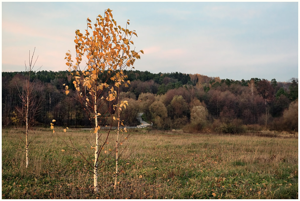 фото "Осенняя зарисовка" метки: пейзаж, осень