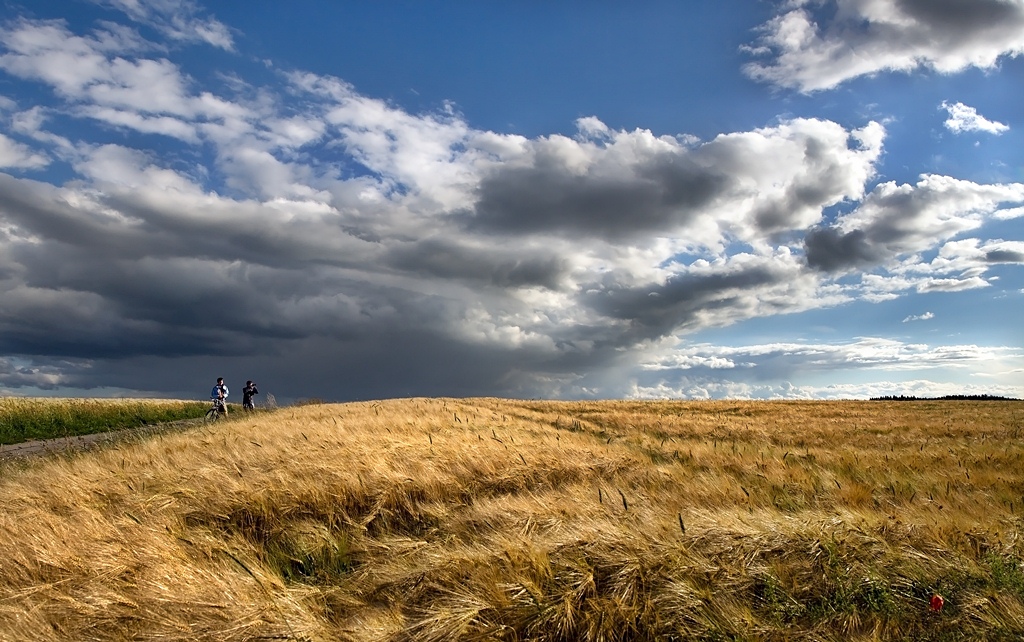 photo "***" tags: landscape, summer