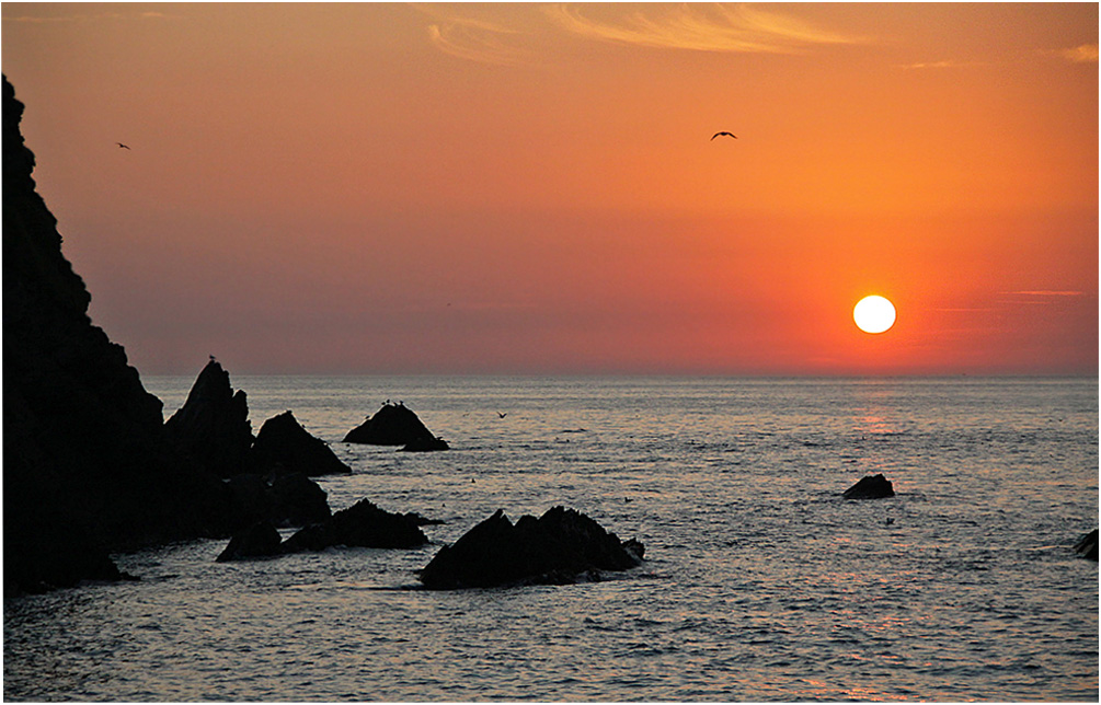 фото "Птицы, море, солнце!" метки: пейзаж, закат