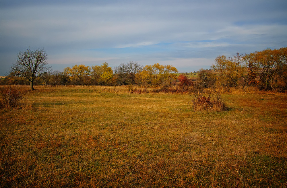 photo "The colors of late autumn" tags: landscape, autumn