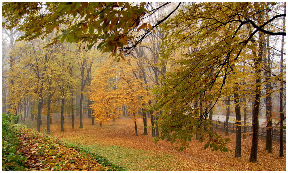 фото "Взгляд   в  осень..." метки: пейзаж, осень