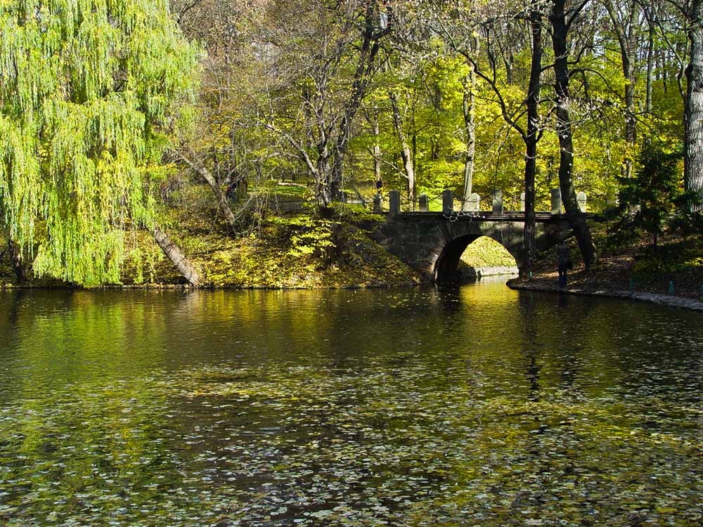 photo "***" tags: landscape, autumn, water