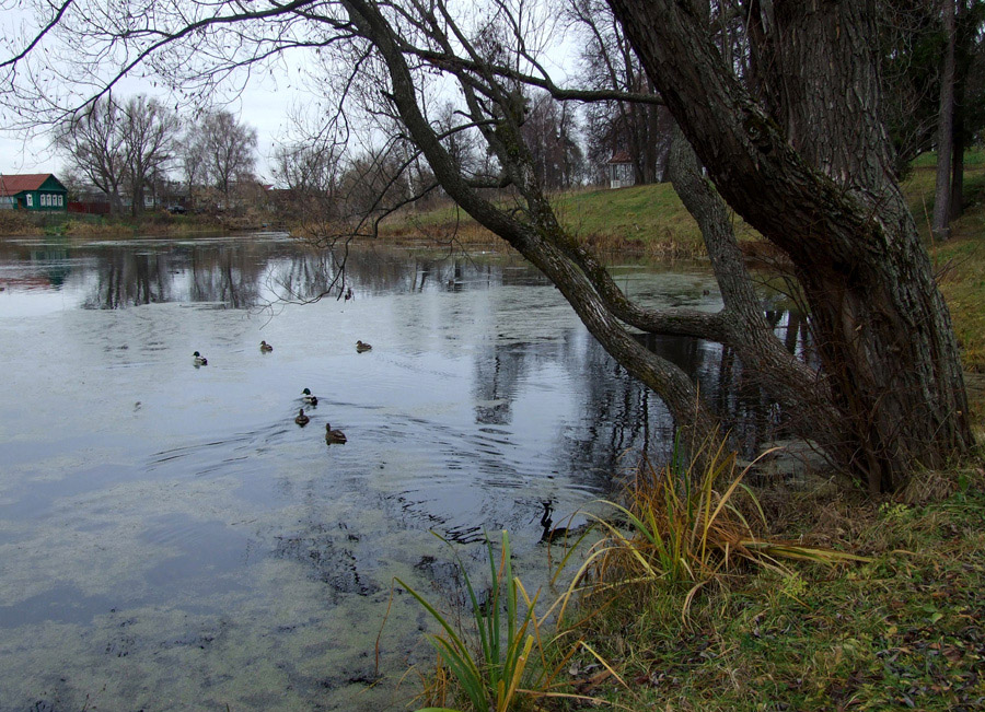 photo "***" tags: landscape, autumn