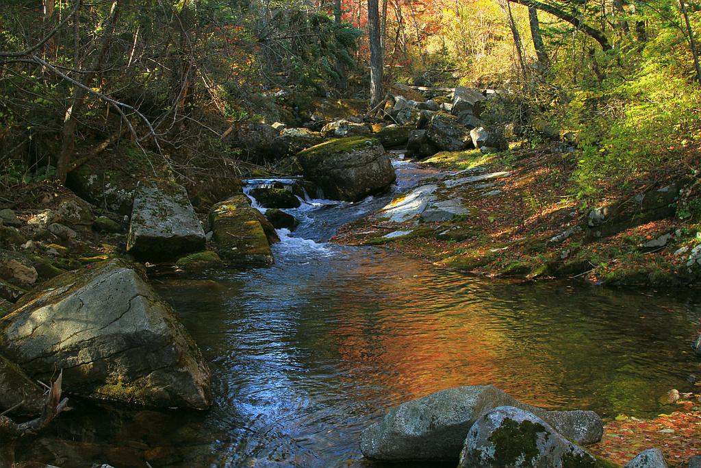 photo "***" tags: landscape, autumn