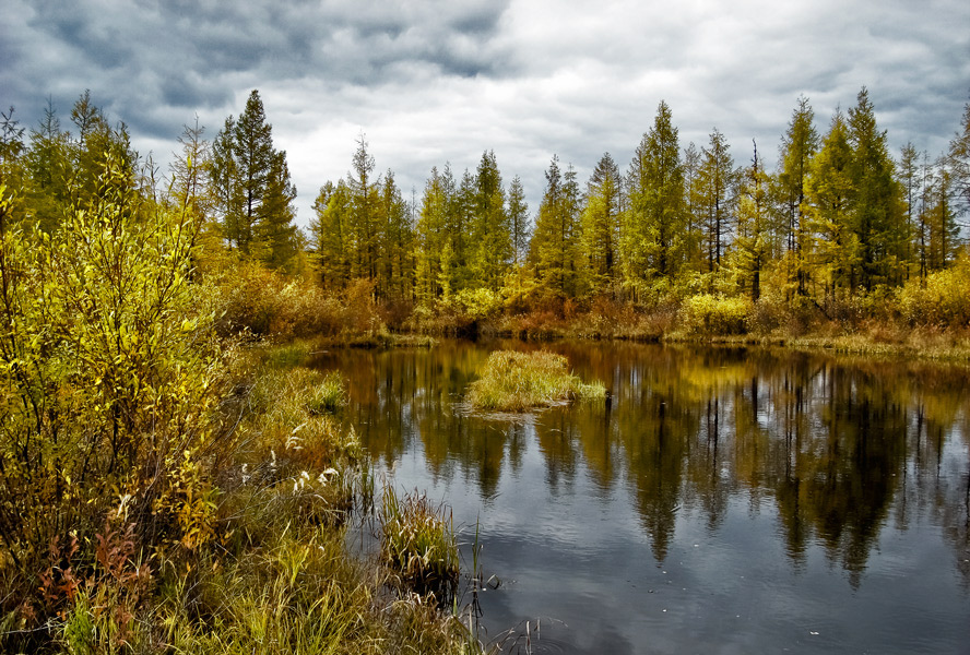 photo "***" tags: landscape, autumn, forest