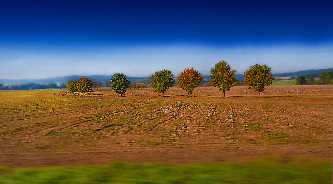 photo "Fotoduel. Expression of the flight." tags: landscape, autumn