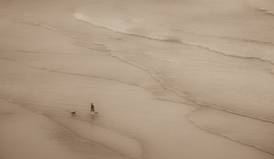 photo "Walking with Friends" tags: , 