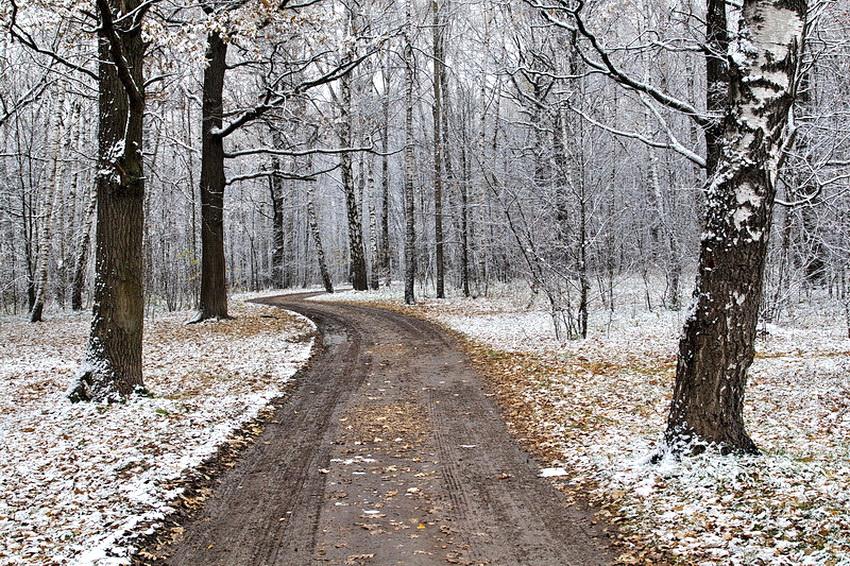 фото "Первый снег" метки: пейзаж, природа, зима