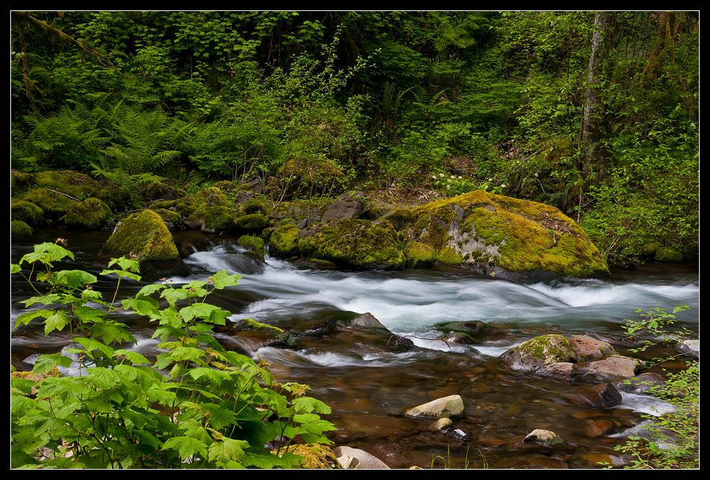 photo "***" tags: landscape, travel, water