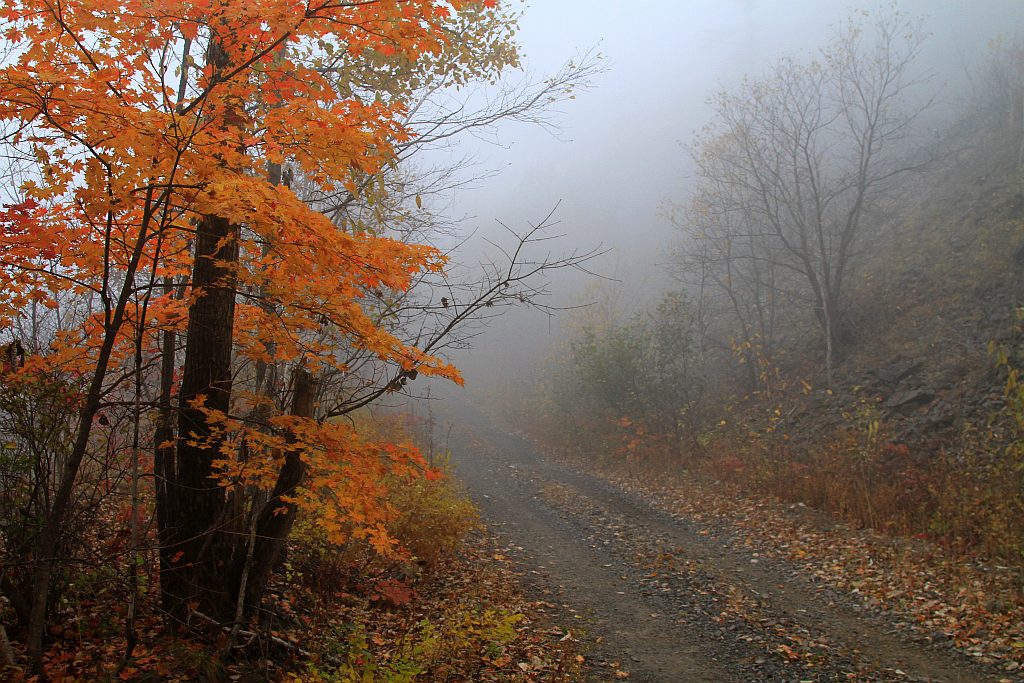 photo "***" tags: landscape, autumn