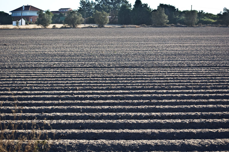 photo "SOIL" tags: landscape, panoramic, summer