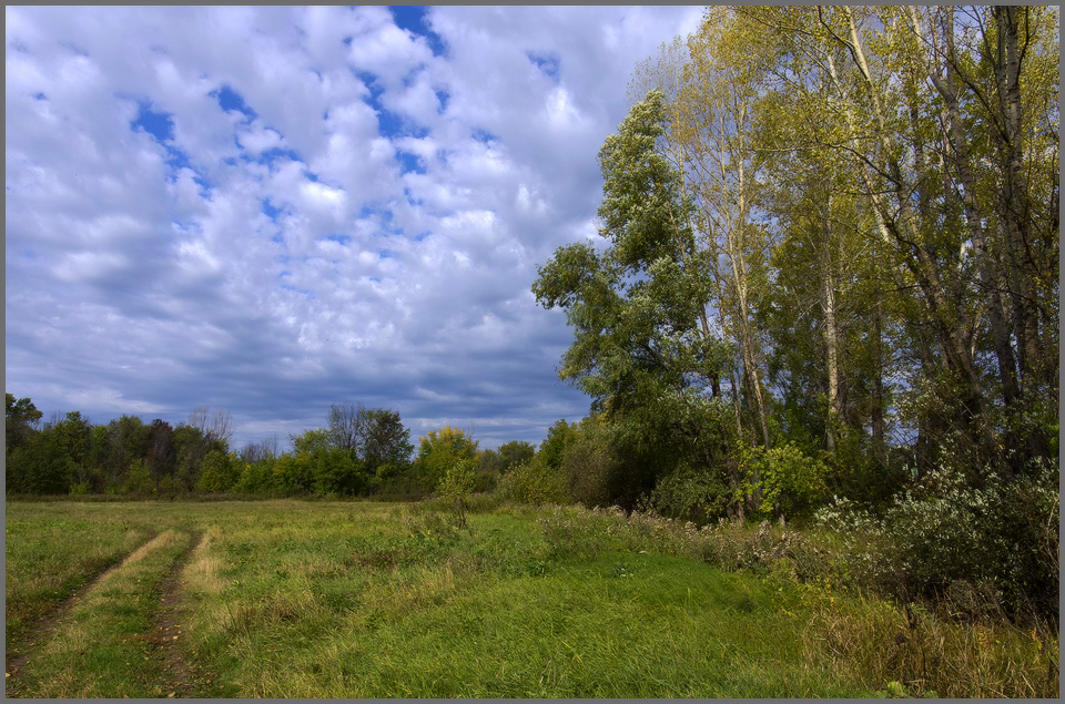 photo "***" tags: landscape, autumn