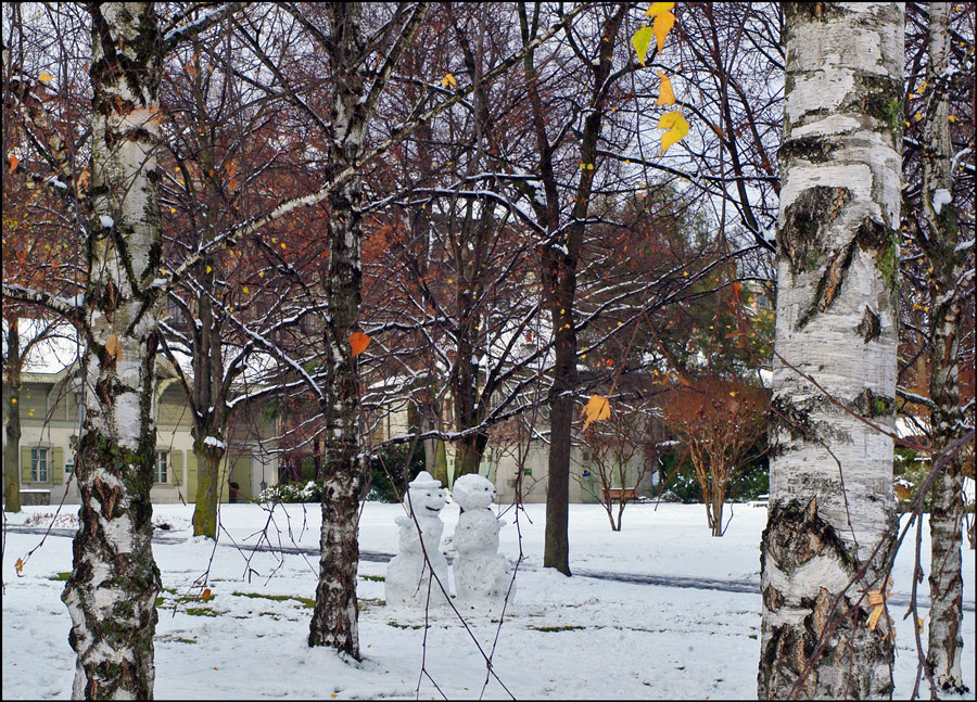 фото "Фотодуэль "Первый снег"  -  Новорожденные" метки: пейзаж, зима
