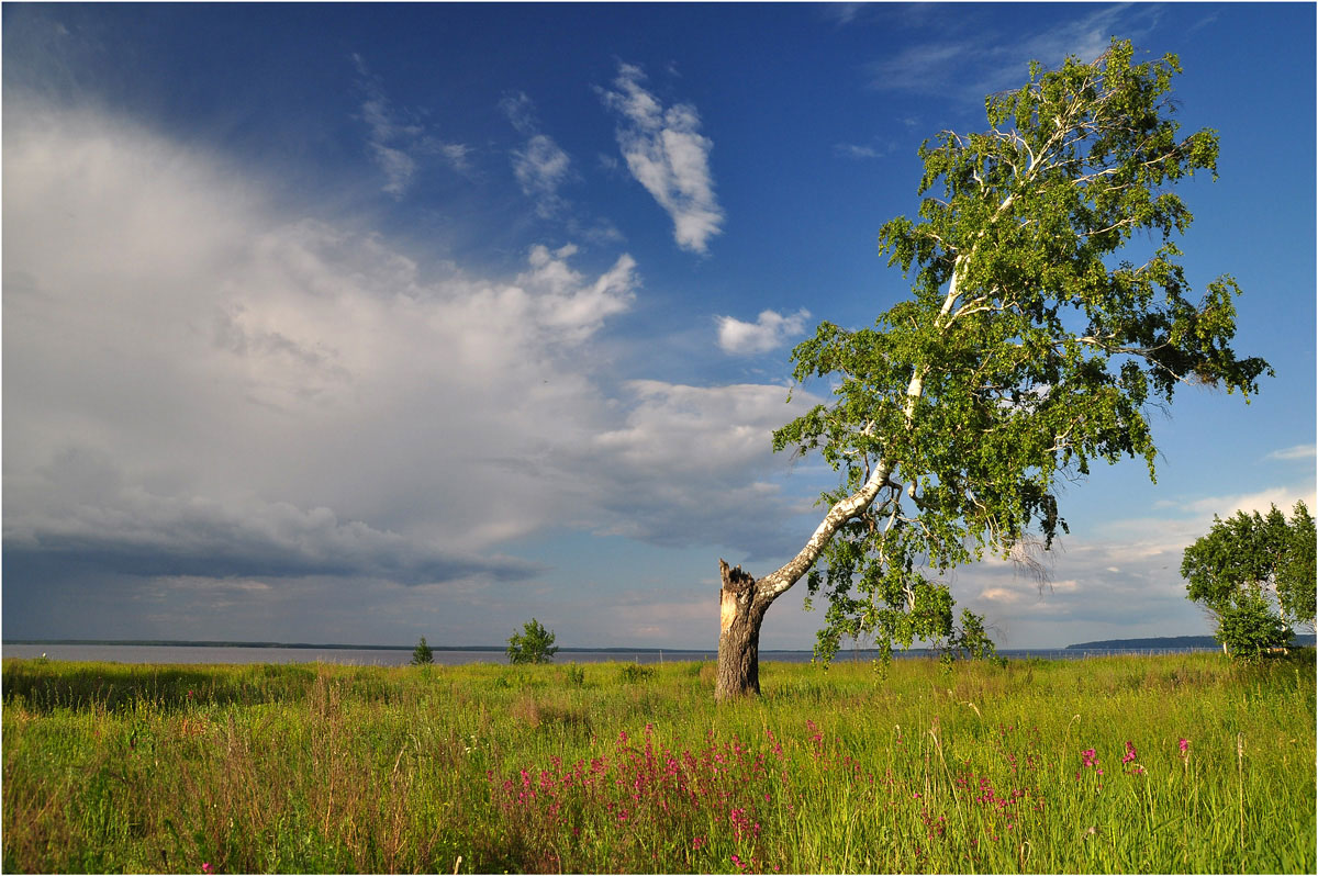 photo "***" tags: landscape, nature, summer