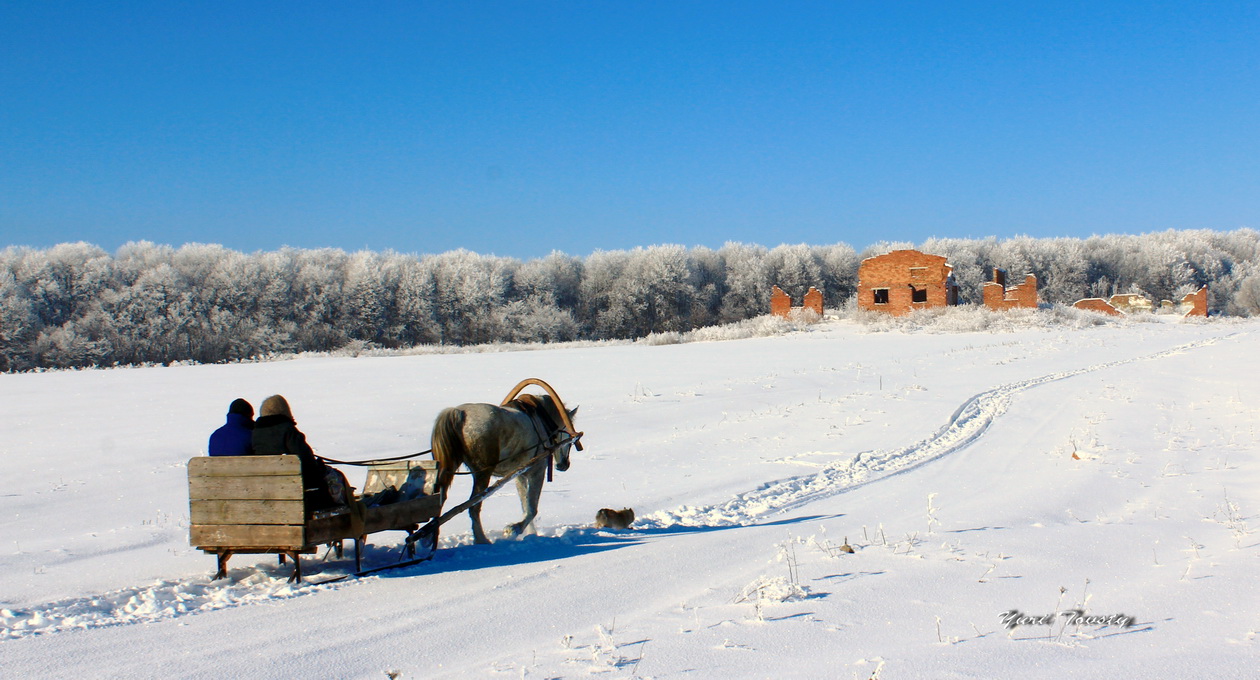 фото "Зимой в глуши" метки: жанр, 