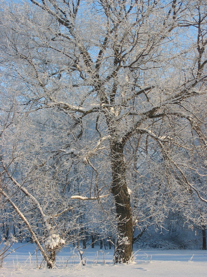 photo "***" tags: landscape, winter