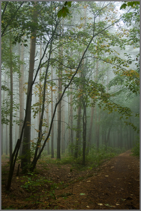 photo "***" tags: landscape, autumn