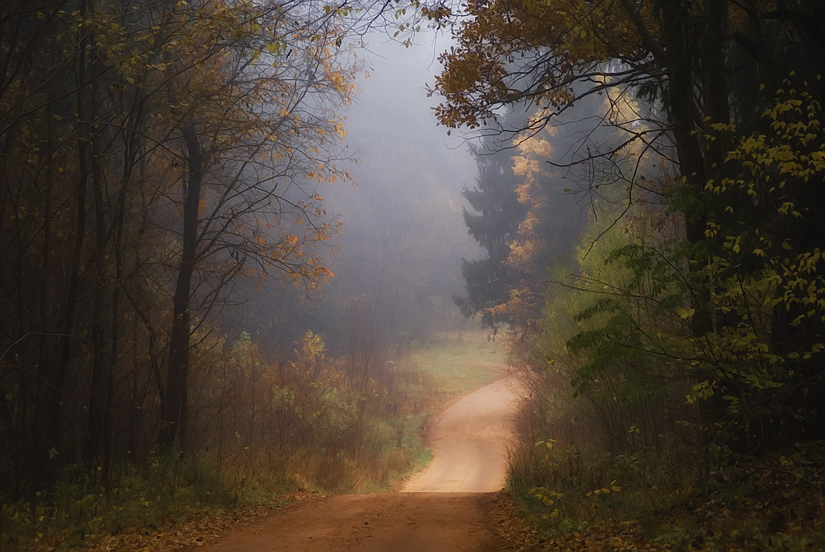 photo "Path through the autumn" tags: landscape, autumn