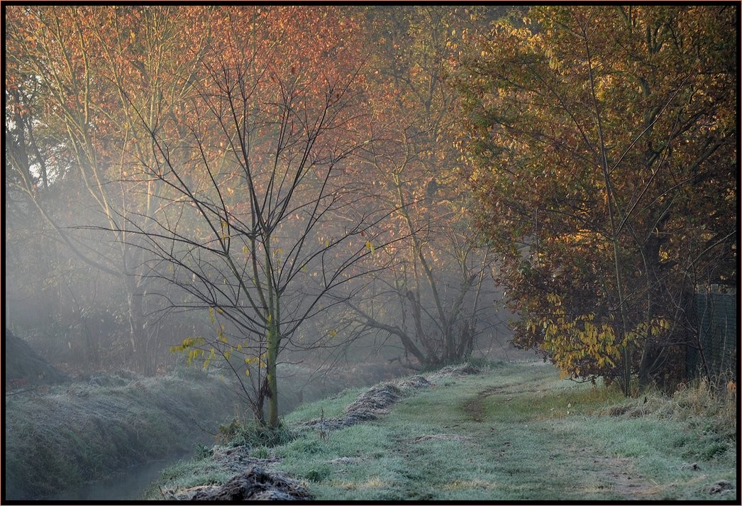 фото "the first cold day" метки: пейзаж, закат, осень