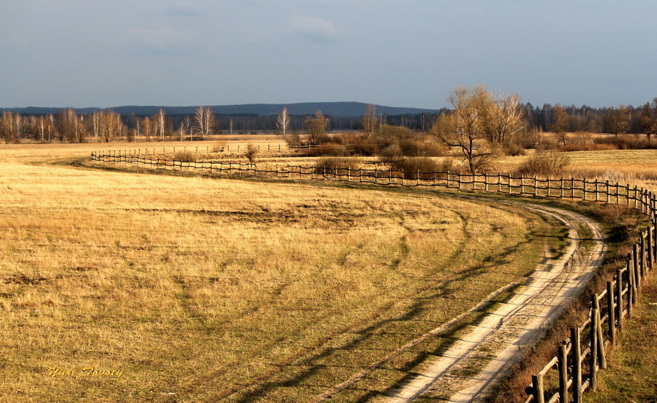 фото "Пейзаж с изгородью" метки: , 