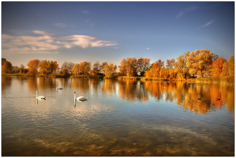 photo "***" tags: landscape, autumn