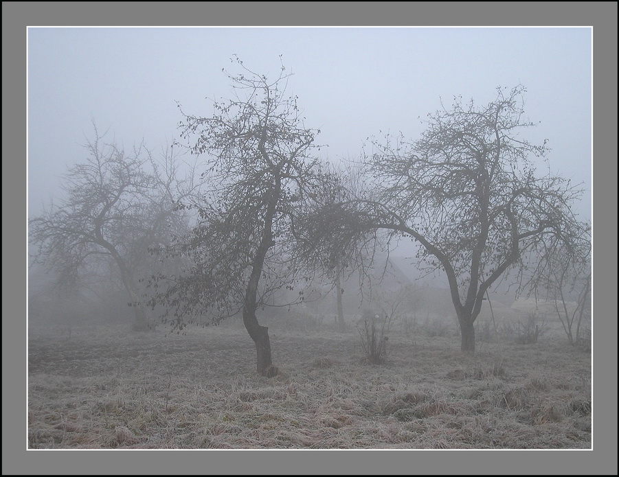 photo "***" tags: landscape, autumn