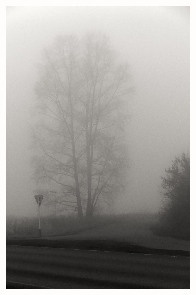 фото "туман" метки: пейзаж, 
