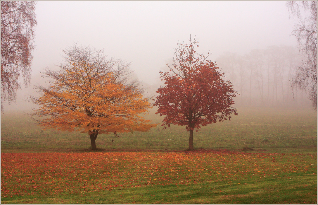 photo "***" tags: landscape, autumn, forest