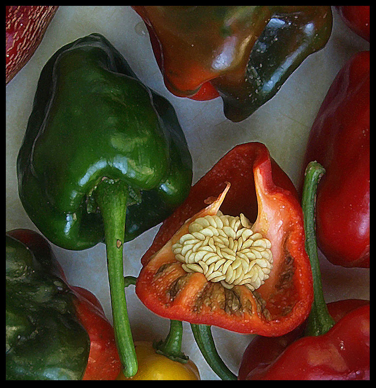 photo "Peppers" tags: still life, 