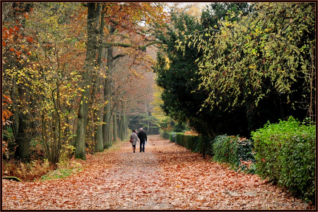 photo "relaxing walks" tags: landscape, nature, autumn