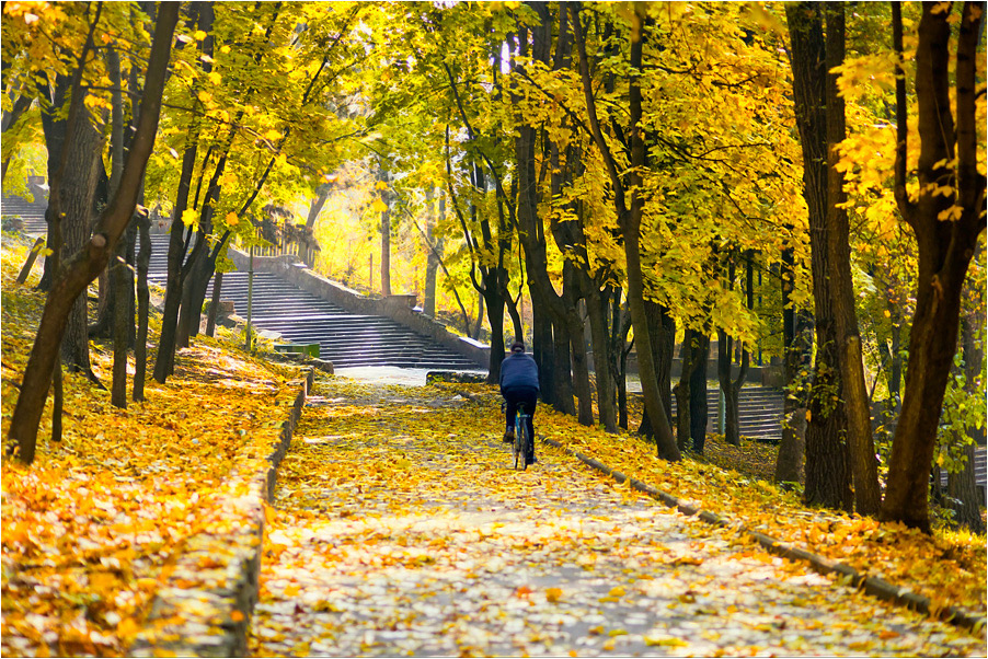 photo "***" tags: landscape, nature, autumn