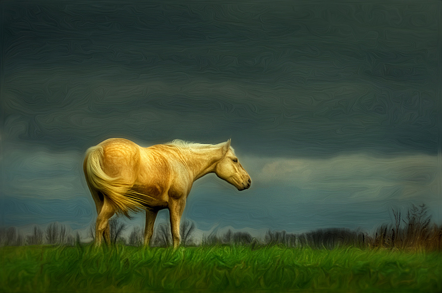 photo "Palomino Art" tags: digital art, 