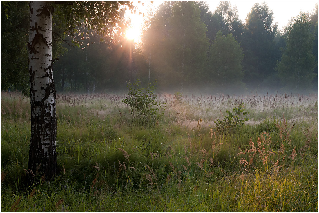 фото "Утром" метки: пейзаж, лето