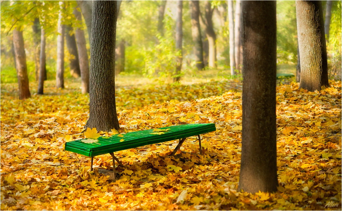 photo "***" tags: landscape, fragment, autumn