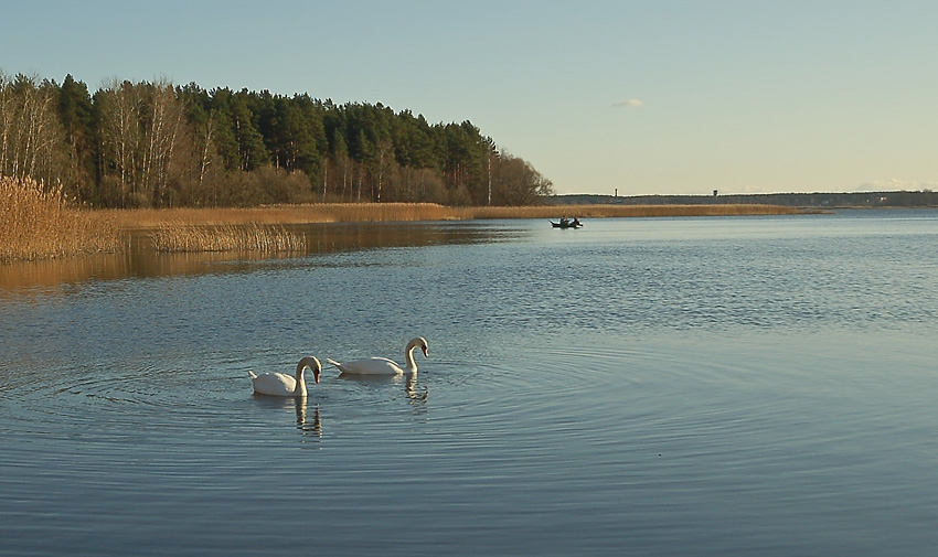 photo "***" tags: landscape, water