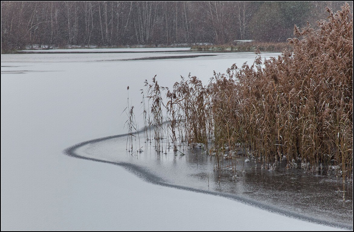 photo "Autumn, the last line of defense ..." tags: landscape, autumn, winter