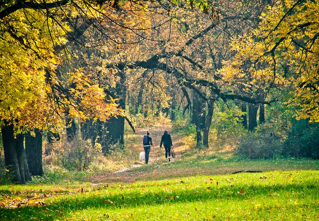 фото "В лес, за грибами" метки: , 