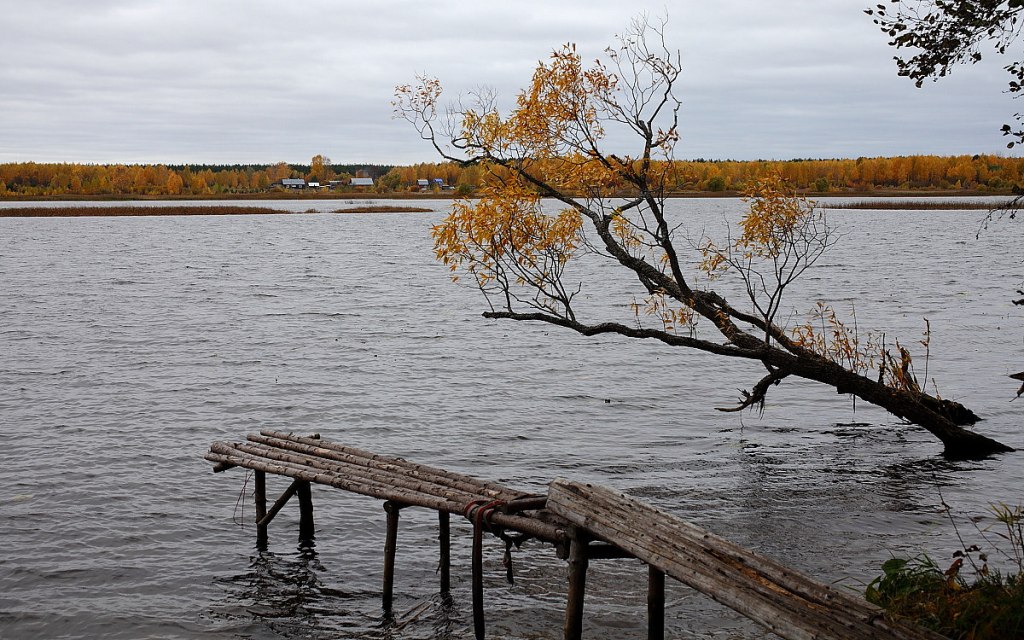 photo "***" tags: landscape, autumn