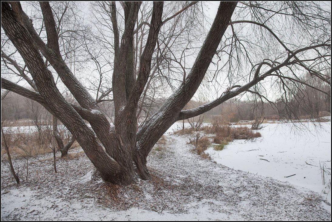 photo "the beginning of winter" tags: landscape, autumn