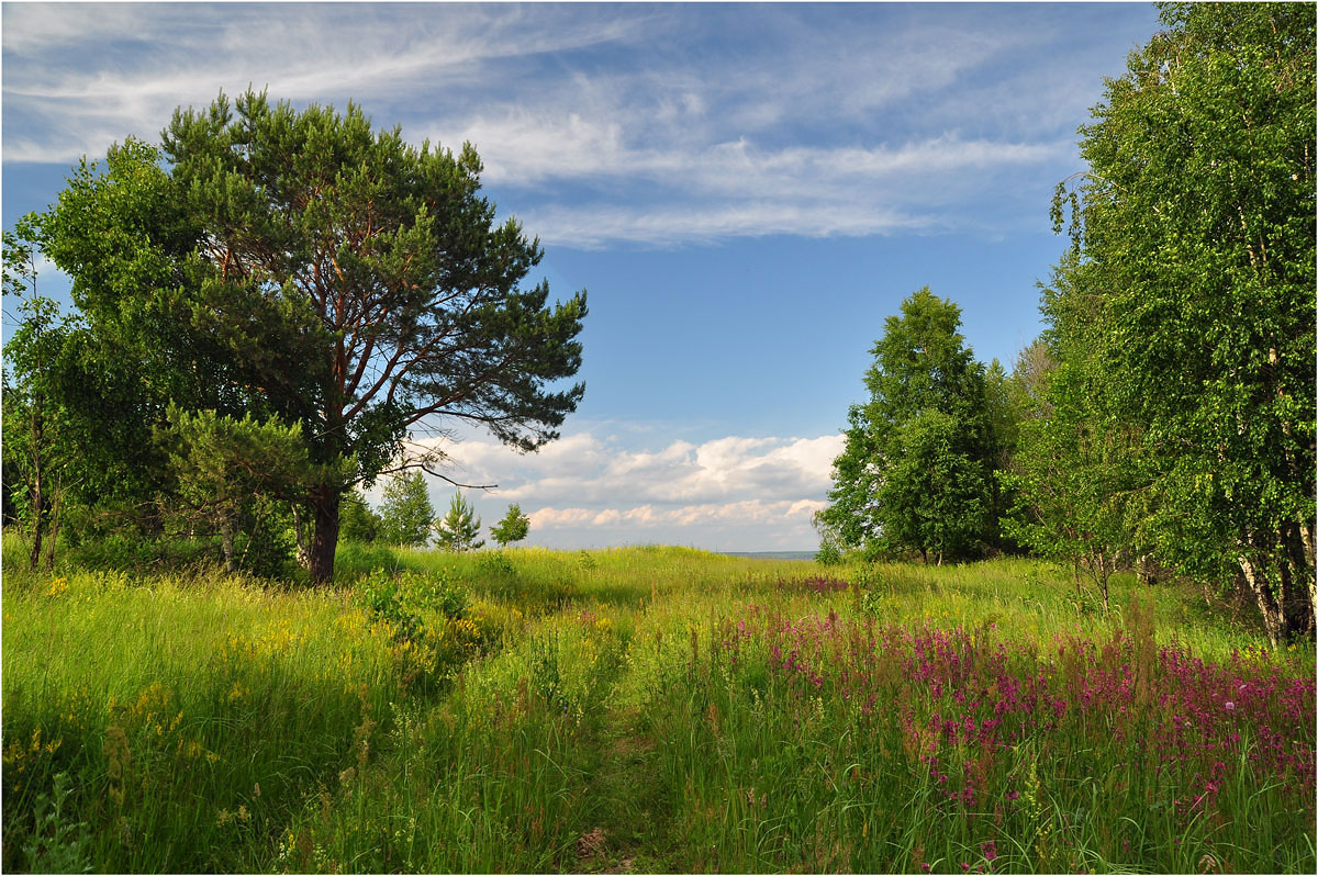 photo "***" tags: landscape, clouds, summer