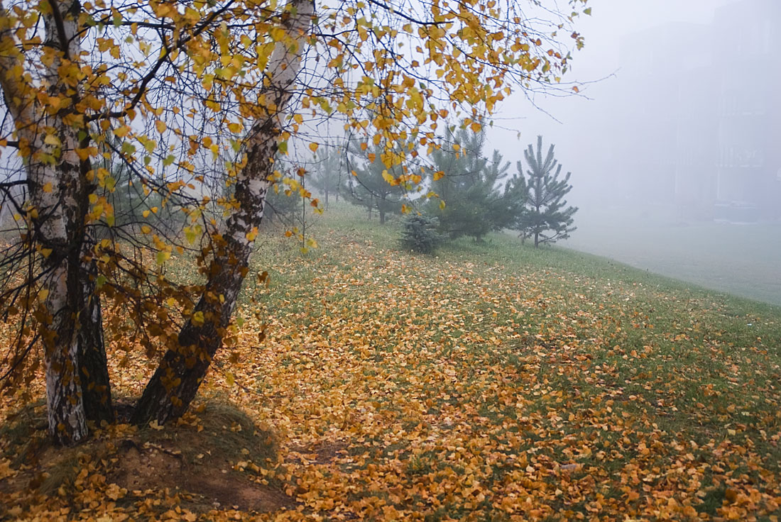 photo "***" tags: landscape, autumn