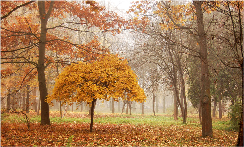 photo "***" tags: landscape, autumn