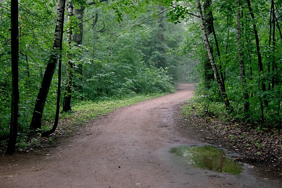 photo "***" tags: landscape, nature, summer